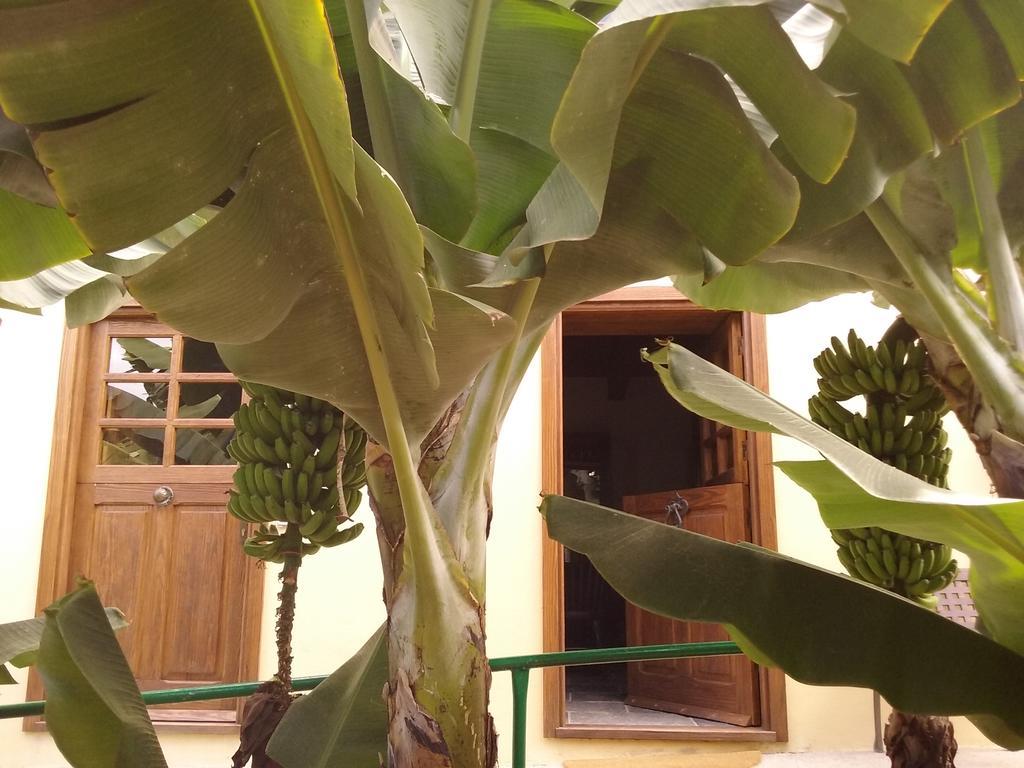 Casa Rural Llano Campo Hermigua Zewnętrze zdjęcie