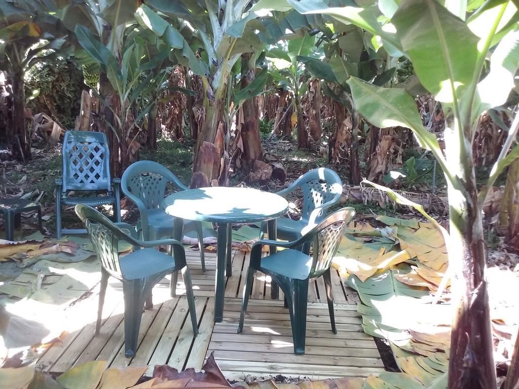 Casa Rural Llano Campo Hermigua Zewnętrze zdjęcie