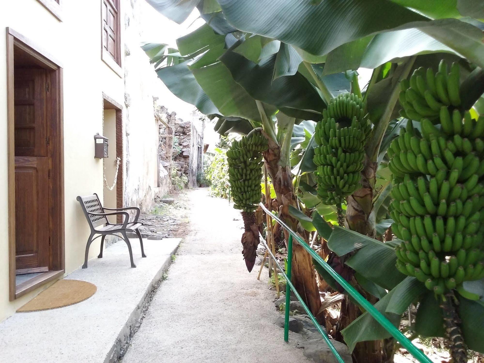 Casa Rural Llano Campo Hermigua Zewnętrze zdjęcie